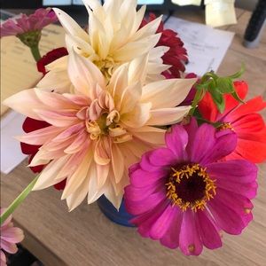 Meet your Posher, Stephanie